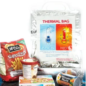 1 Small Insulated Foil Grocery Bag Hot Cold Reusable Thermal Food Storage Carry