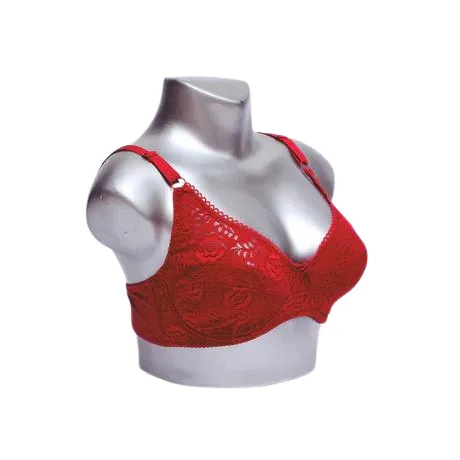 Light Padded Floral Lace Everyday Bra (SS-022)