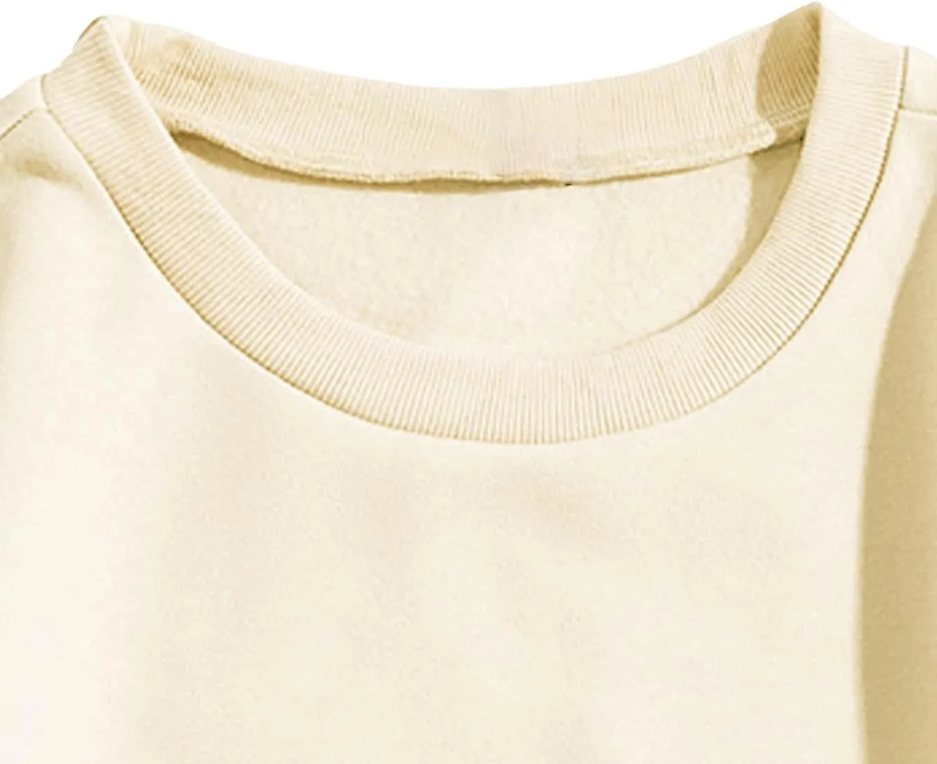 SweatyRocks Women's Casual Long Sleeve Sweatshirt Round Neck Pullover Tops